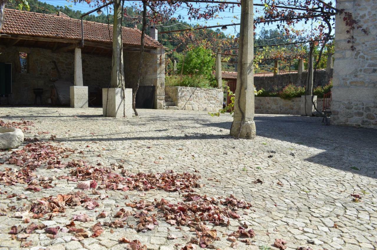 Casa Dos Namorados Vale de Cambra Εξωτερικό φωτογραφία