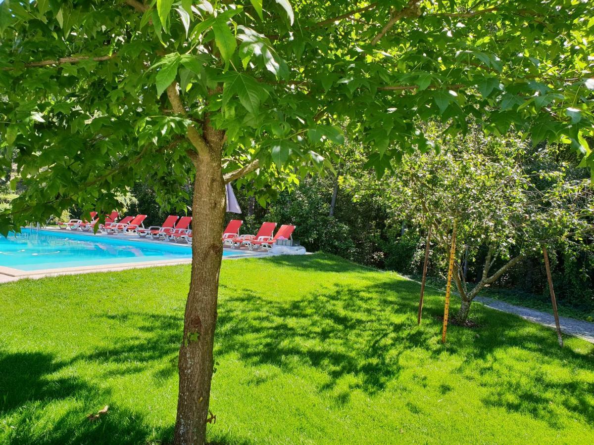 Casa Dos Namorados Vale de Cambra Εξωτερικό φωτογραφία