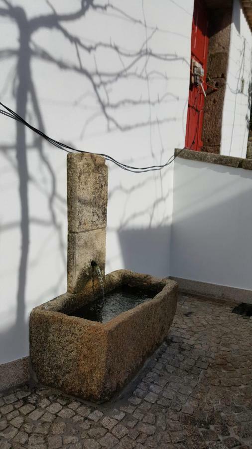 Casa Dos Namorados Vale de Cambra Εξωτερικό φωτογραφία
